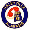 Haleyville City Council