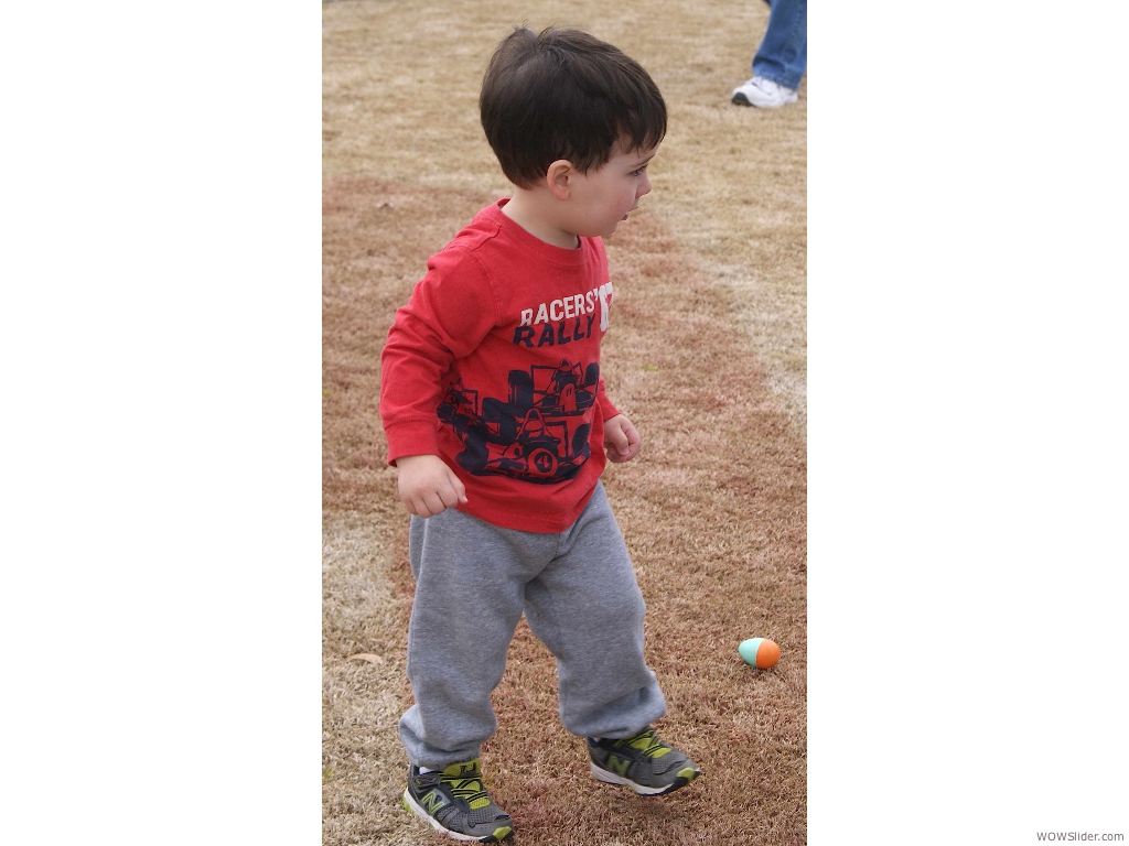 DSC04286C